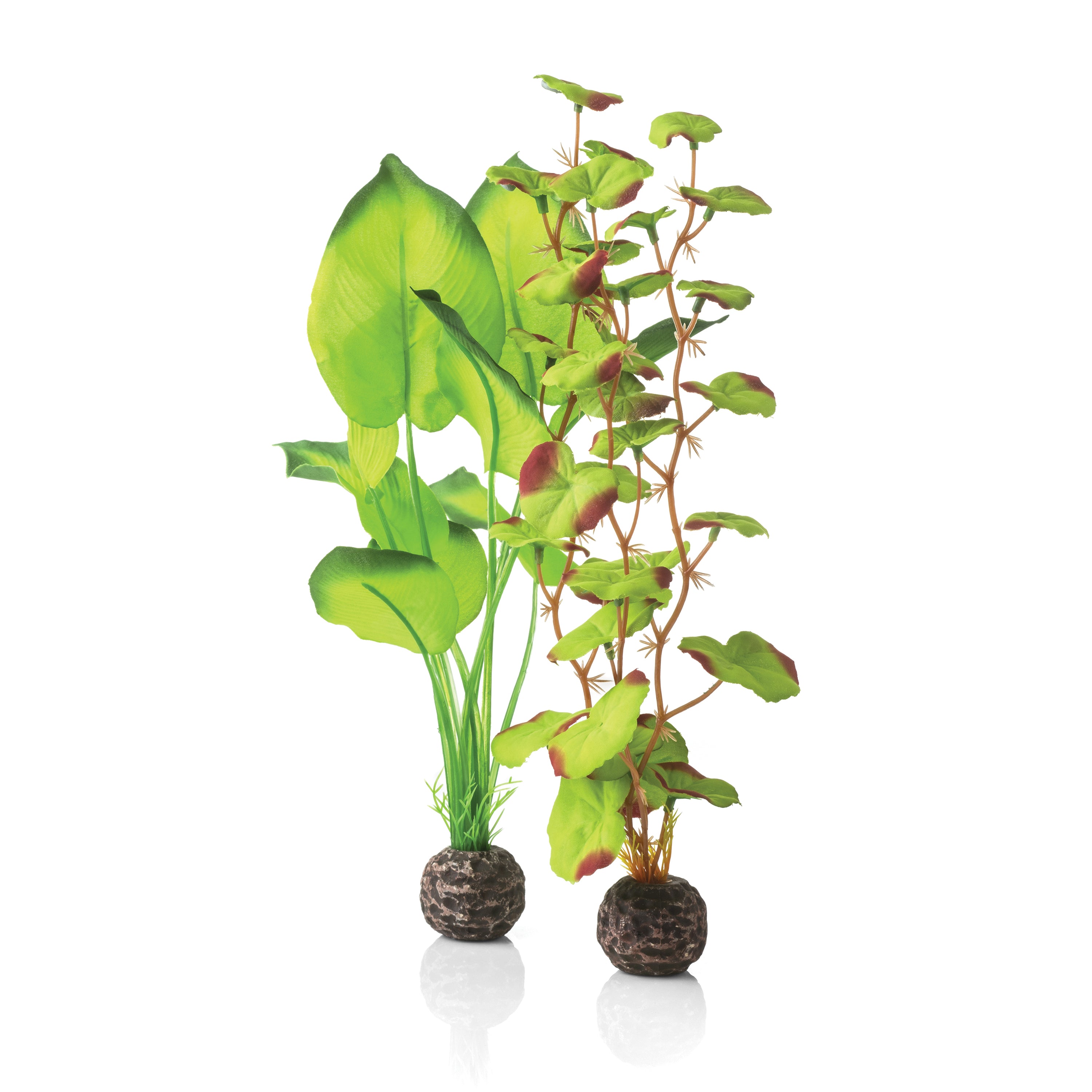 Medium Green Silk Plant Set of 2