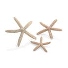 Starfish Set of 3 - Natural