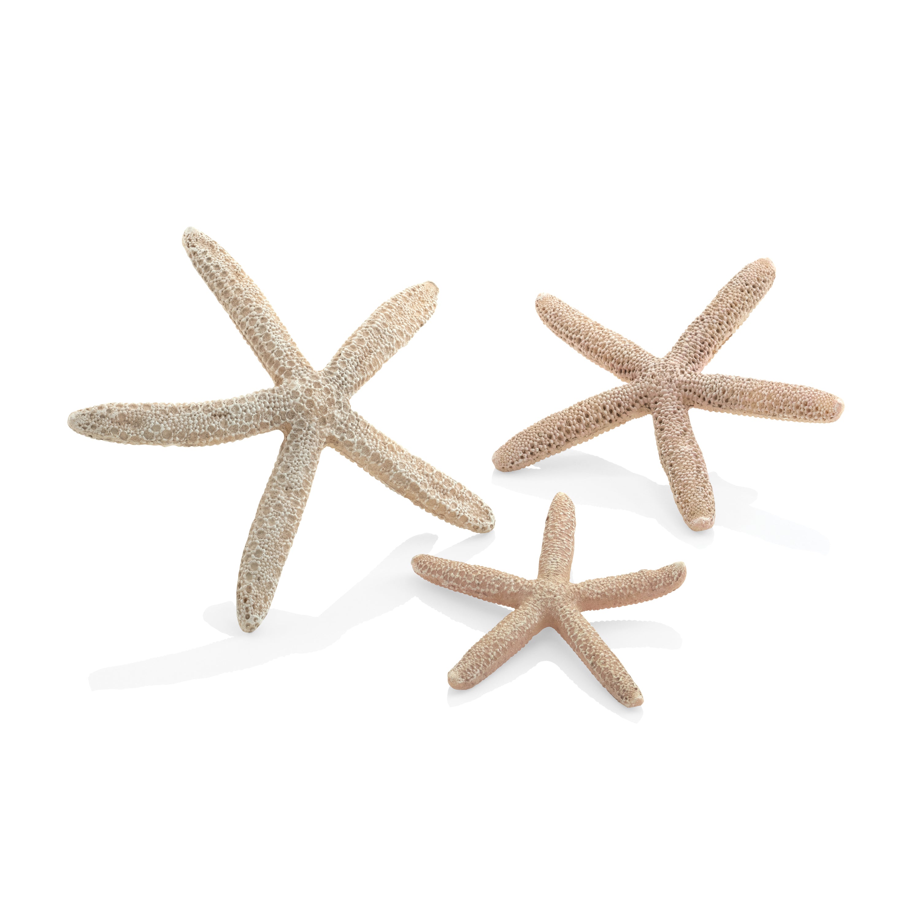 Starfish Set of 3 - Natural