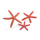 Starfish Set of 3 - Red