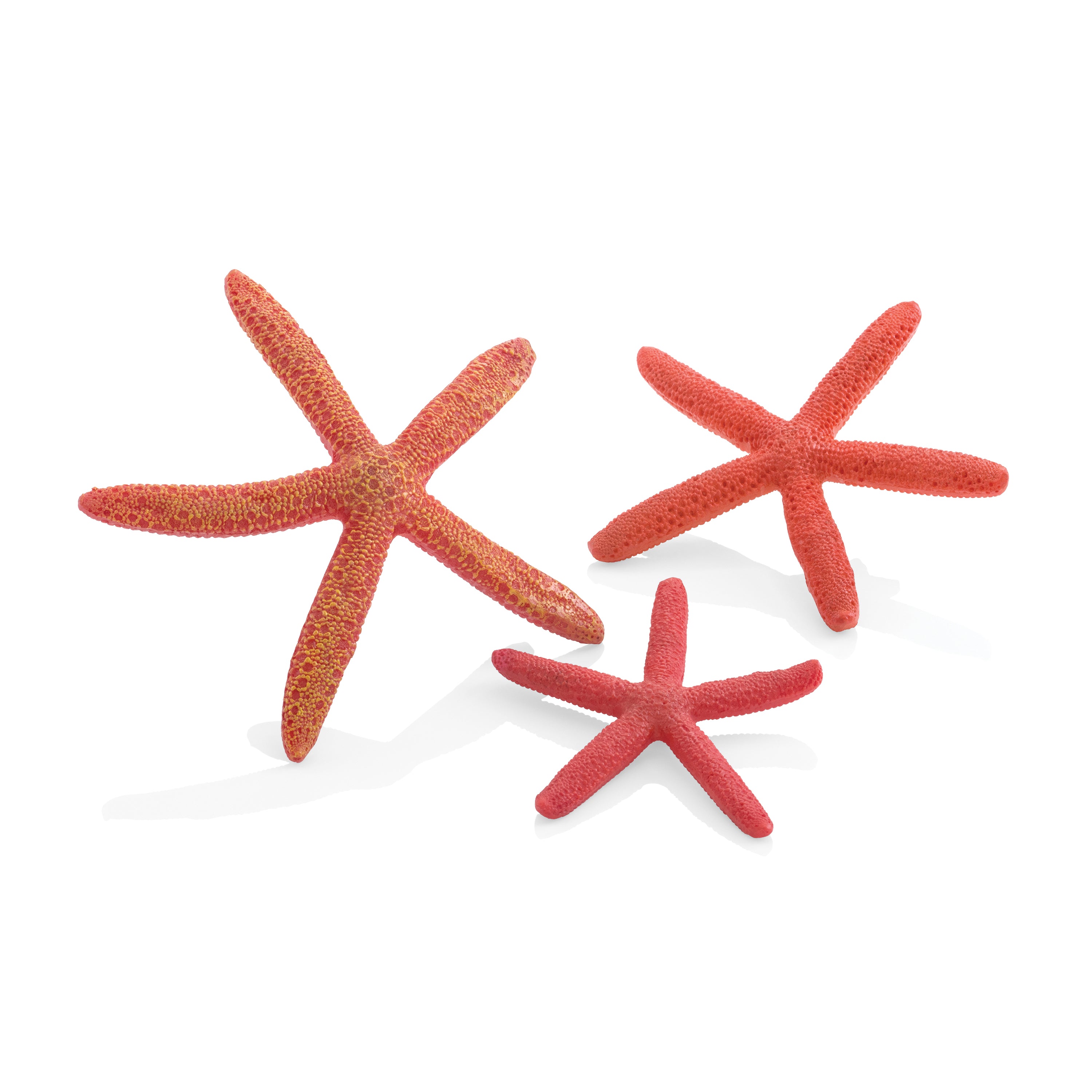 Starfish Set of 3 - Red
