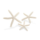 Starfish Set of 3 - White
