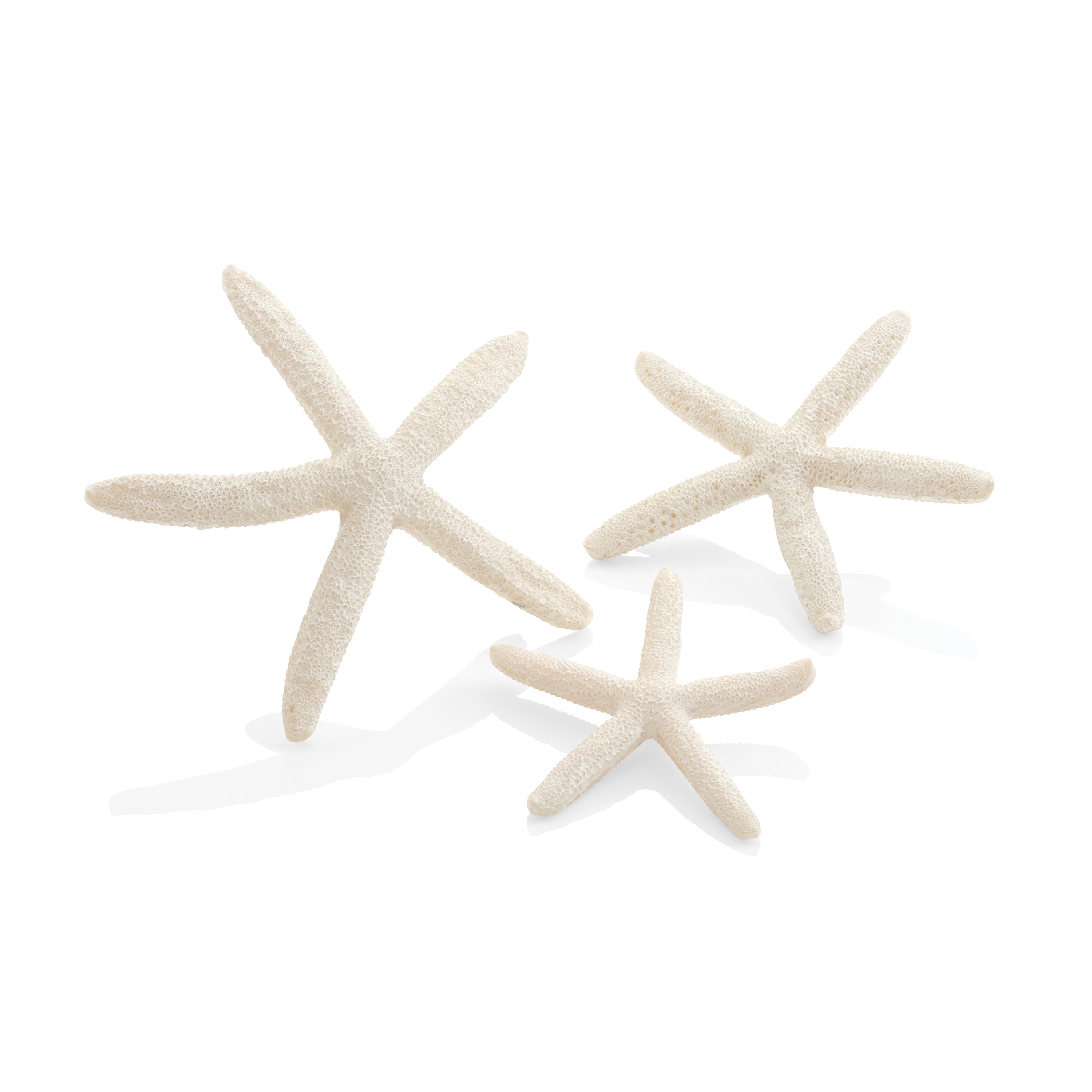 Starfish Set of 3 - White