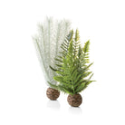 Small Grey & Green Thistle Fern Plant Set of 2