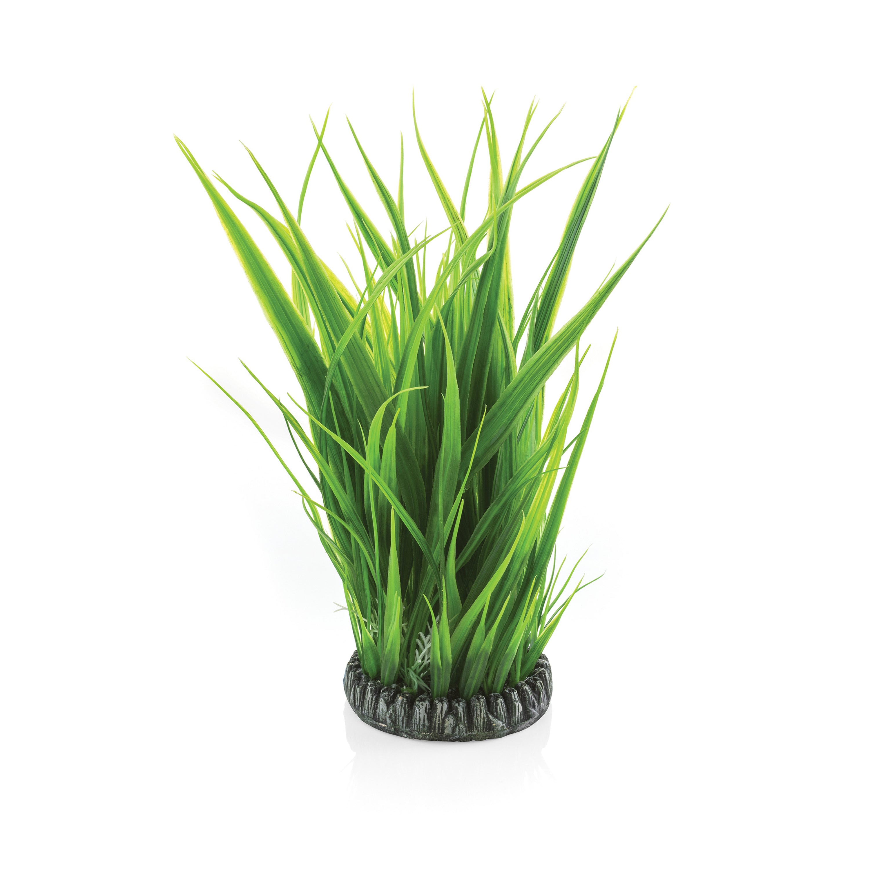 Large Green Grass Ring
