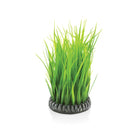 Medium Green Grass Ring