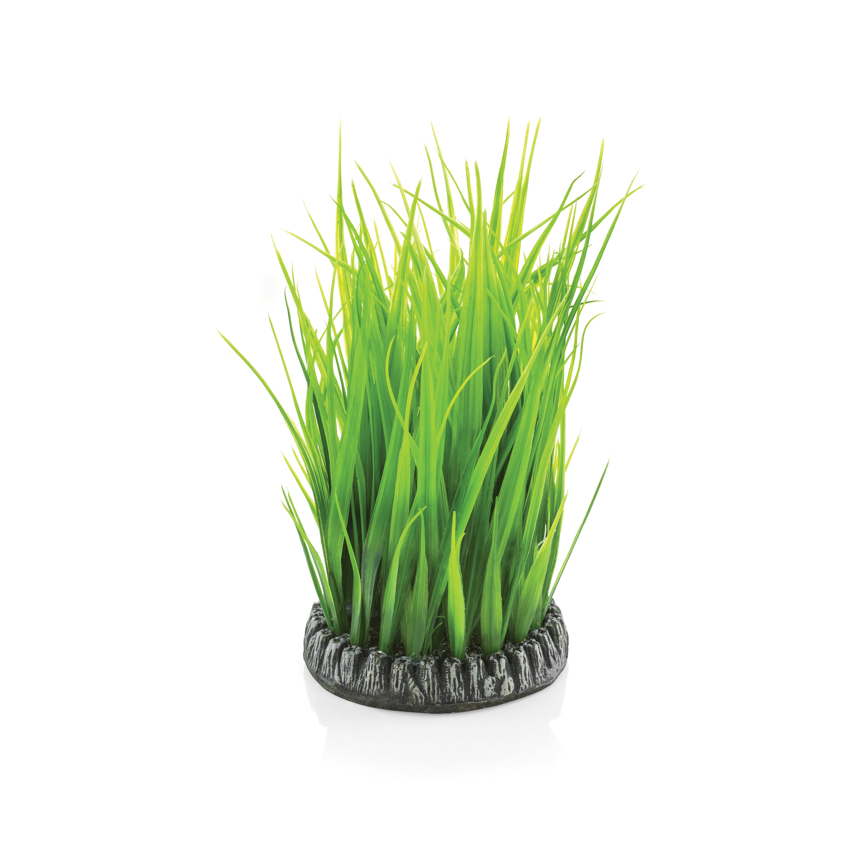 Medium Green Grass Ring