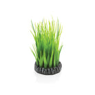 Small Green Grass Ring