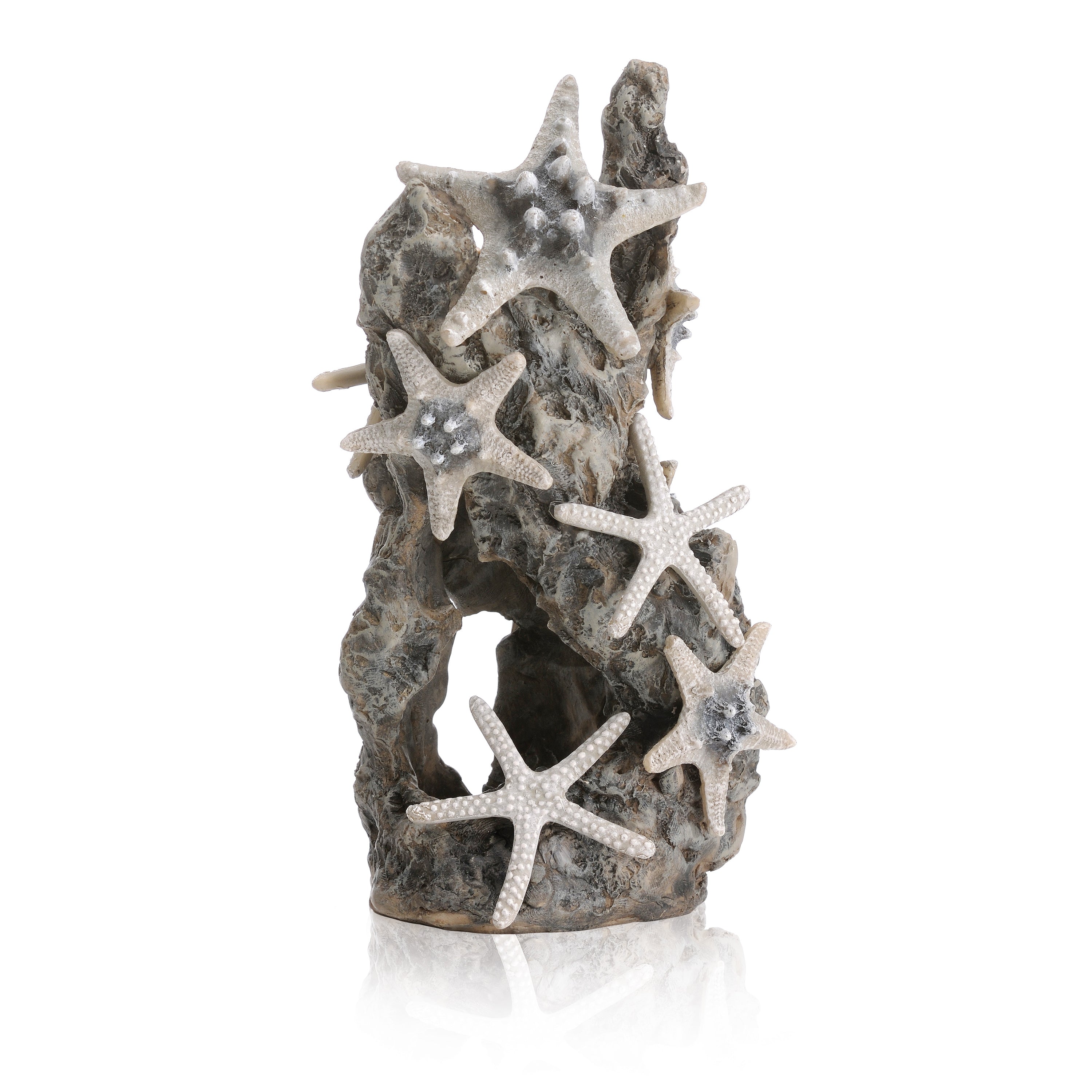 Sea Star Rock Sculpture