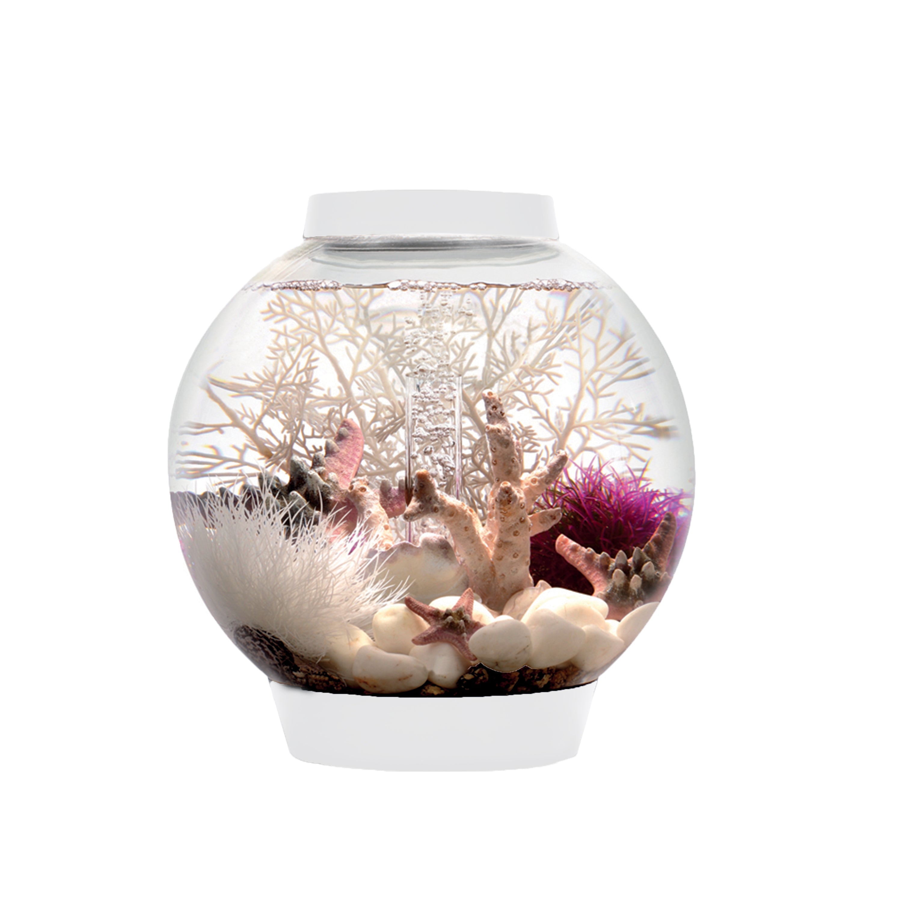 CLASSIC 15 Aquarium with Standard White LED Light - White