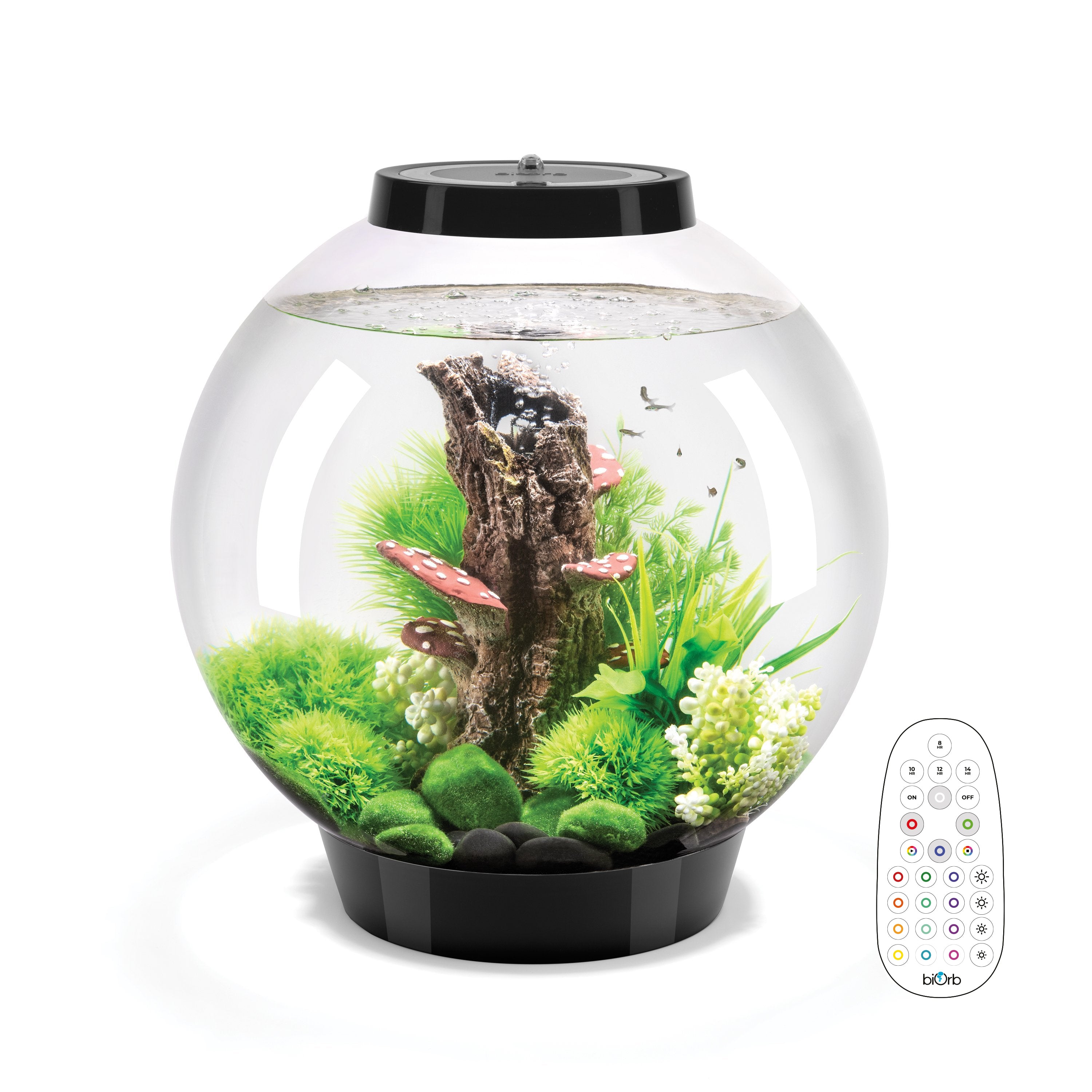 CLASSIC 30 Aquarium with Multi Colour LED Light - Black