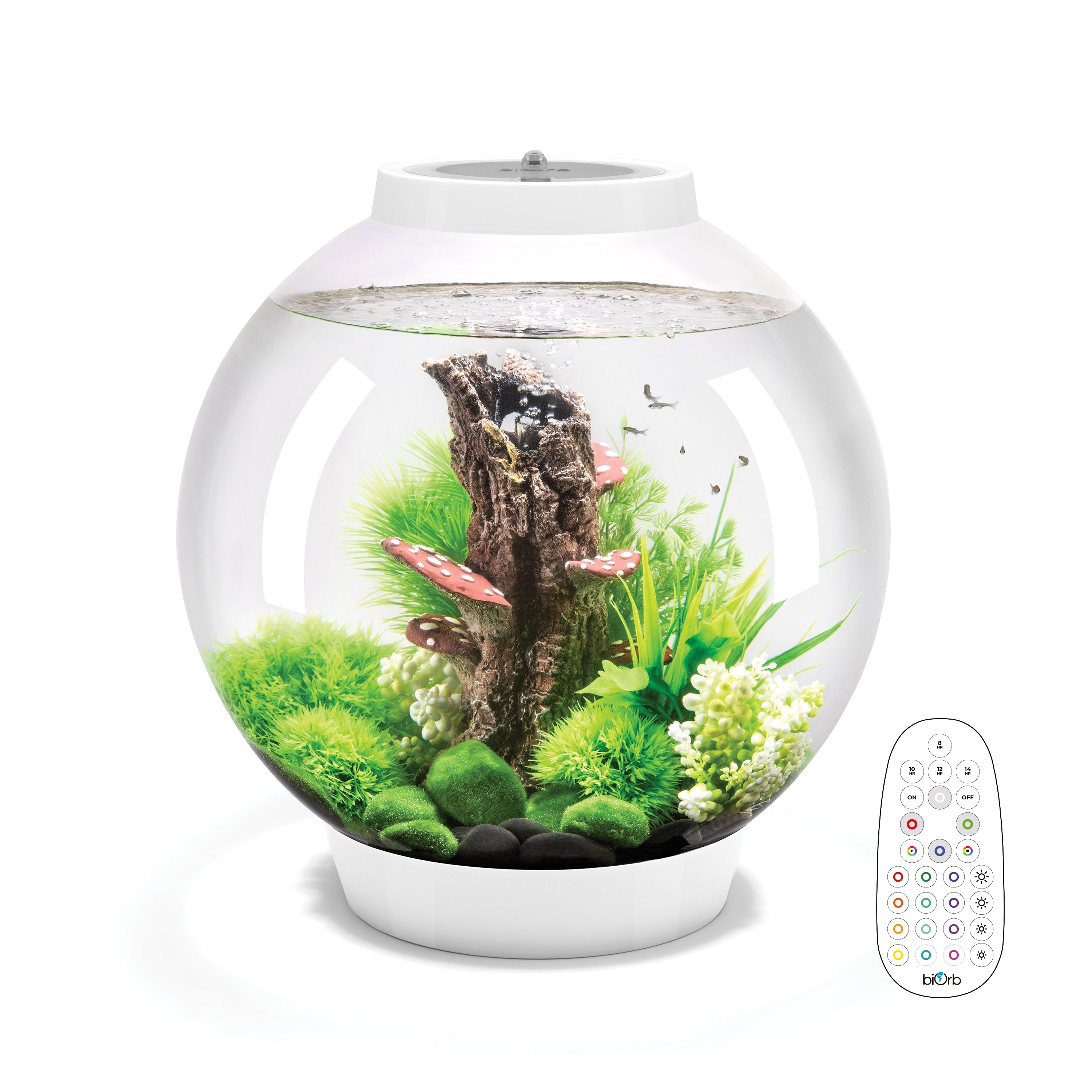CLASSIC 30 Aquarium with Multi Colour LED Light - White