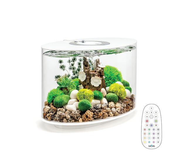 LOOP 15 Aquarium with Multi Colour LED light remote control