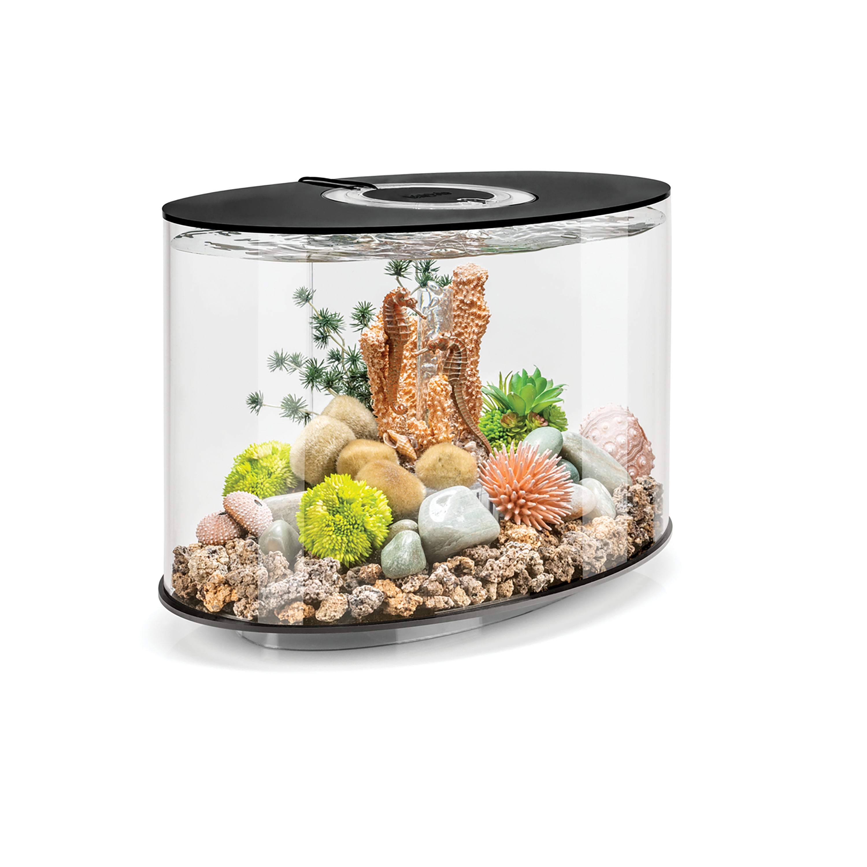 LOOP 15 Aquarium with Standard White LED Light - Black