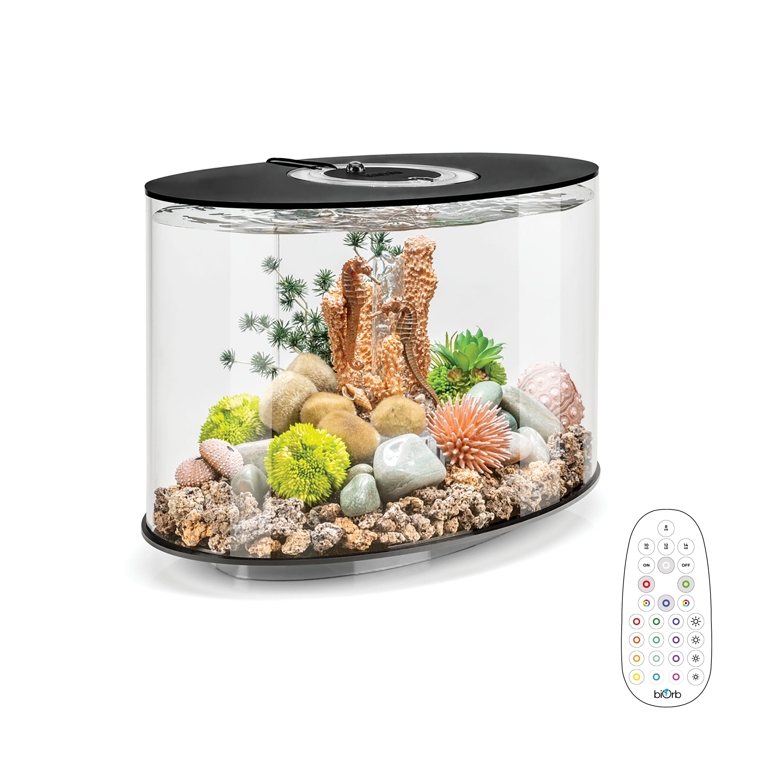 LOOP 15 Aquarium with Multi Colour LED Light - Black