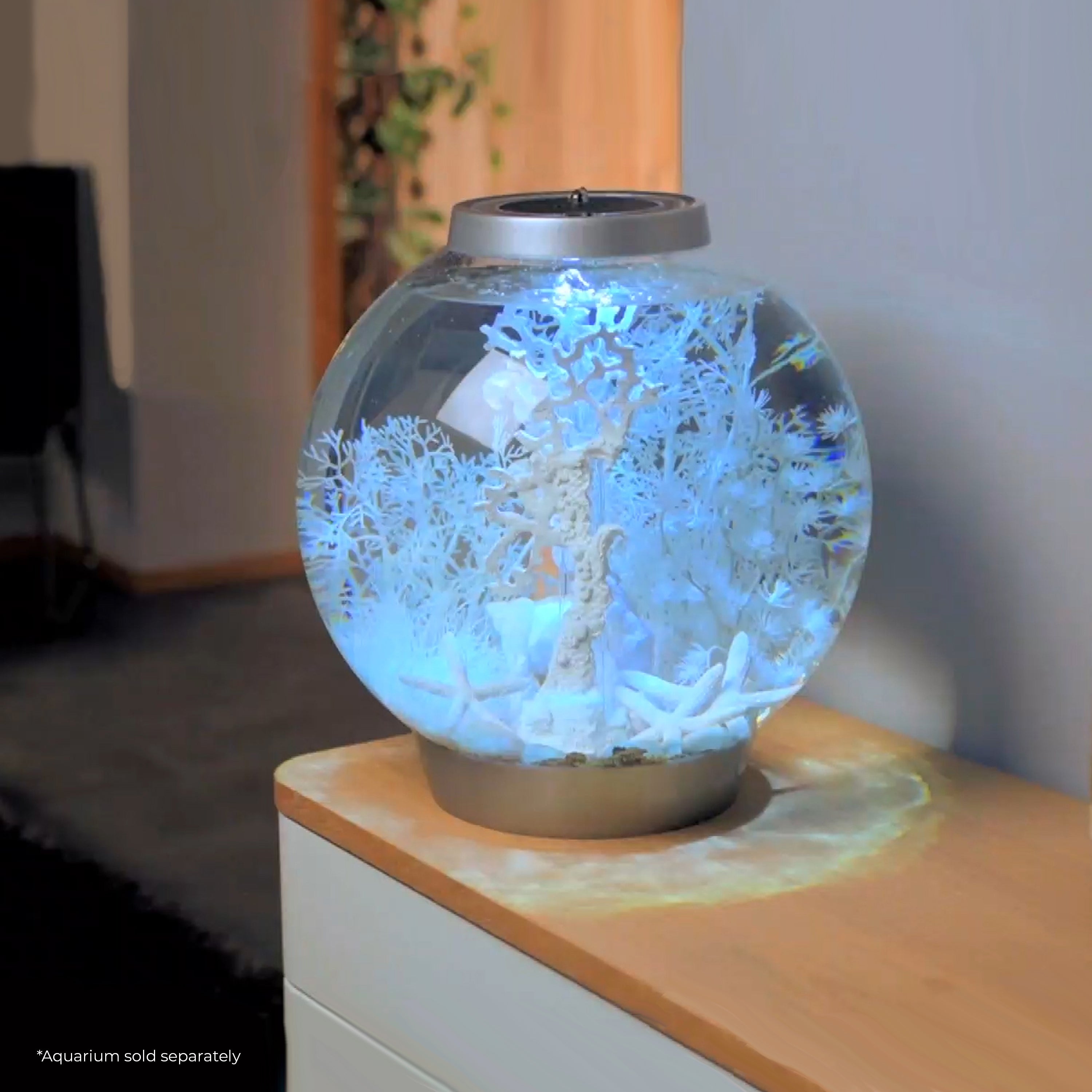 White Christmas (and more) Aquarium Decor Sets