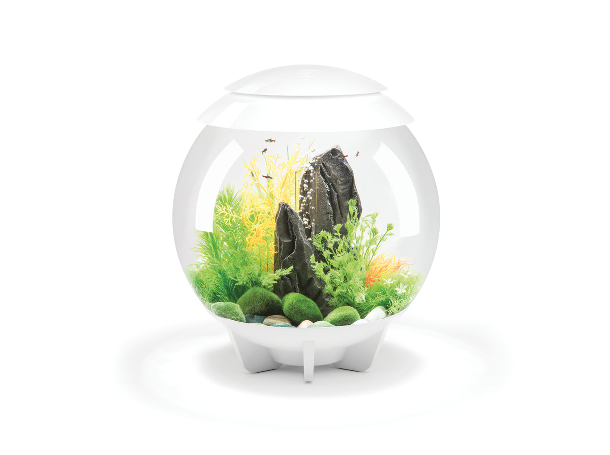 biOrb® HALO