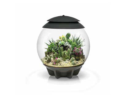 biOrb® Terrariums