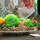 Cleaning Pads In Use