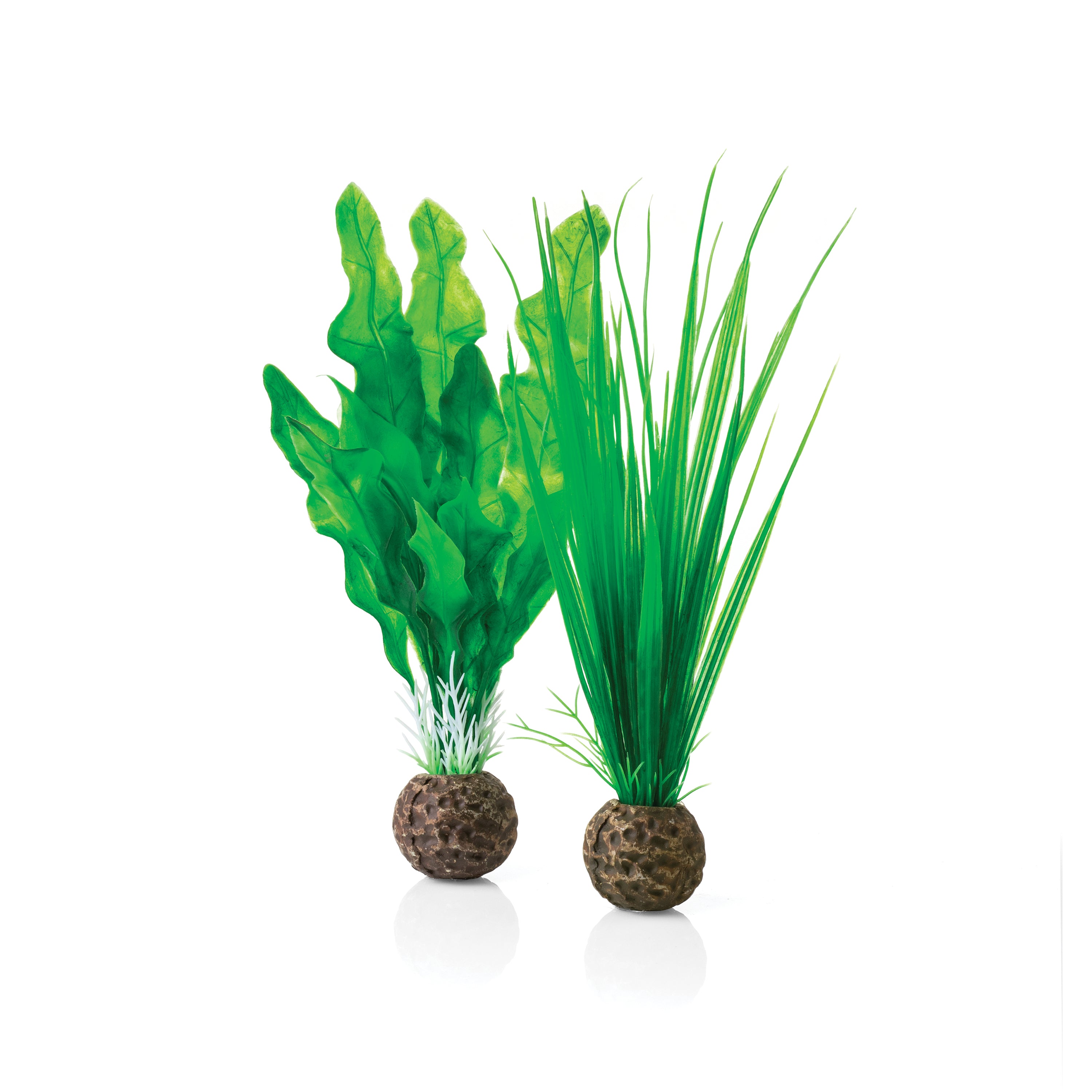 Small Green Easy Plant Set of 2