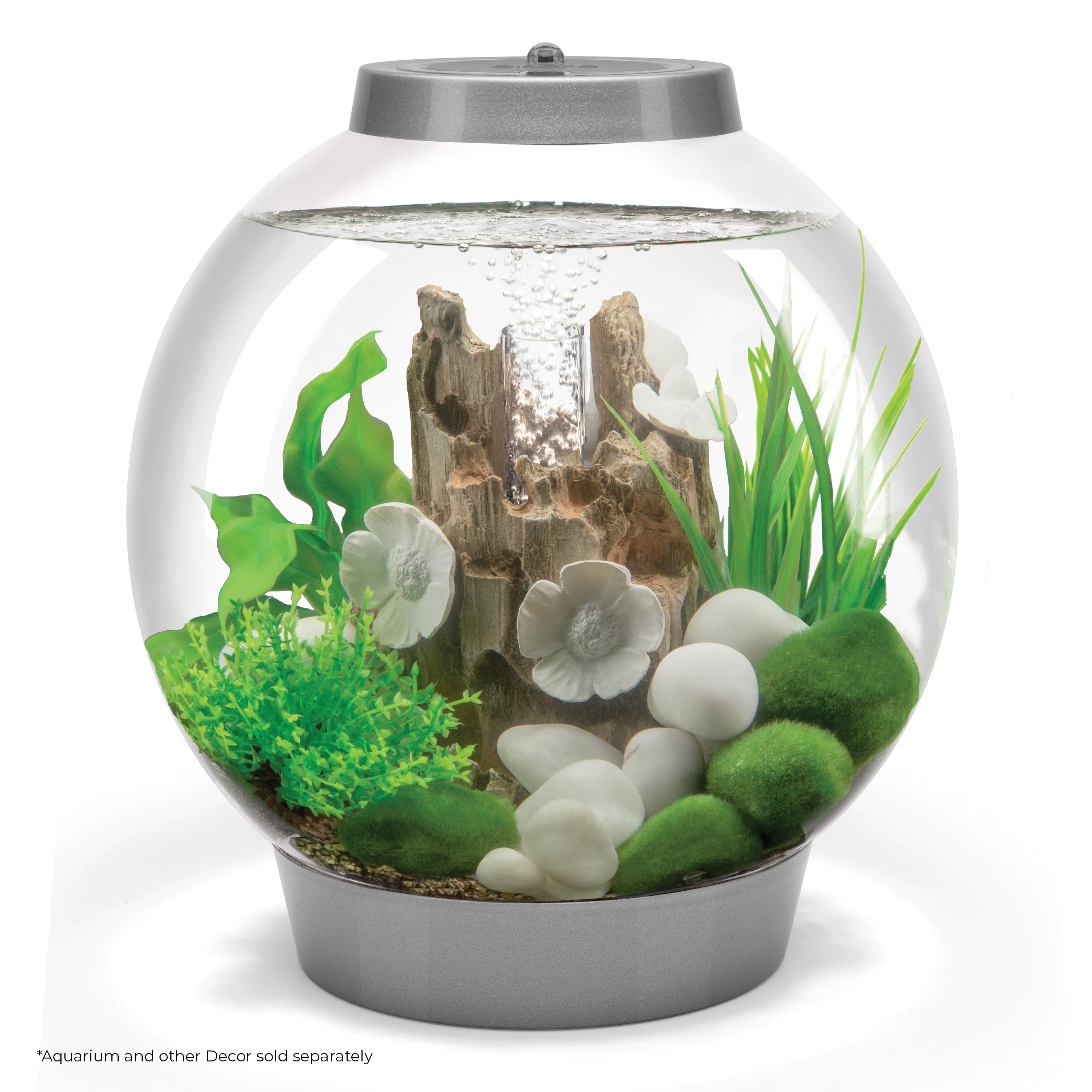 Small Green Easy Plant Set of 2 In Use