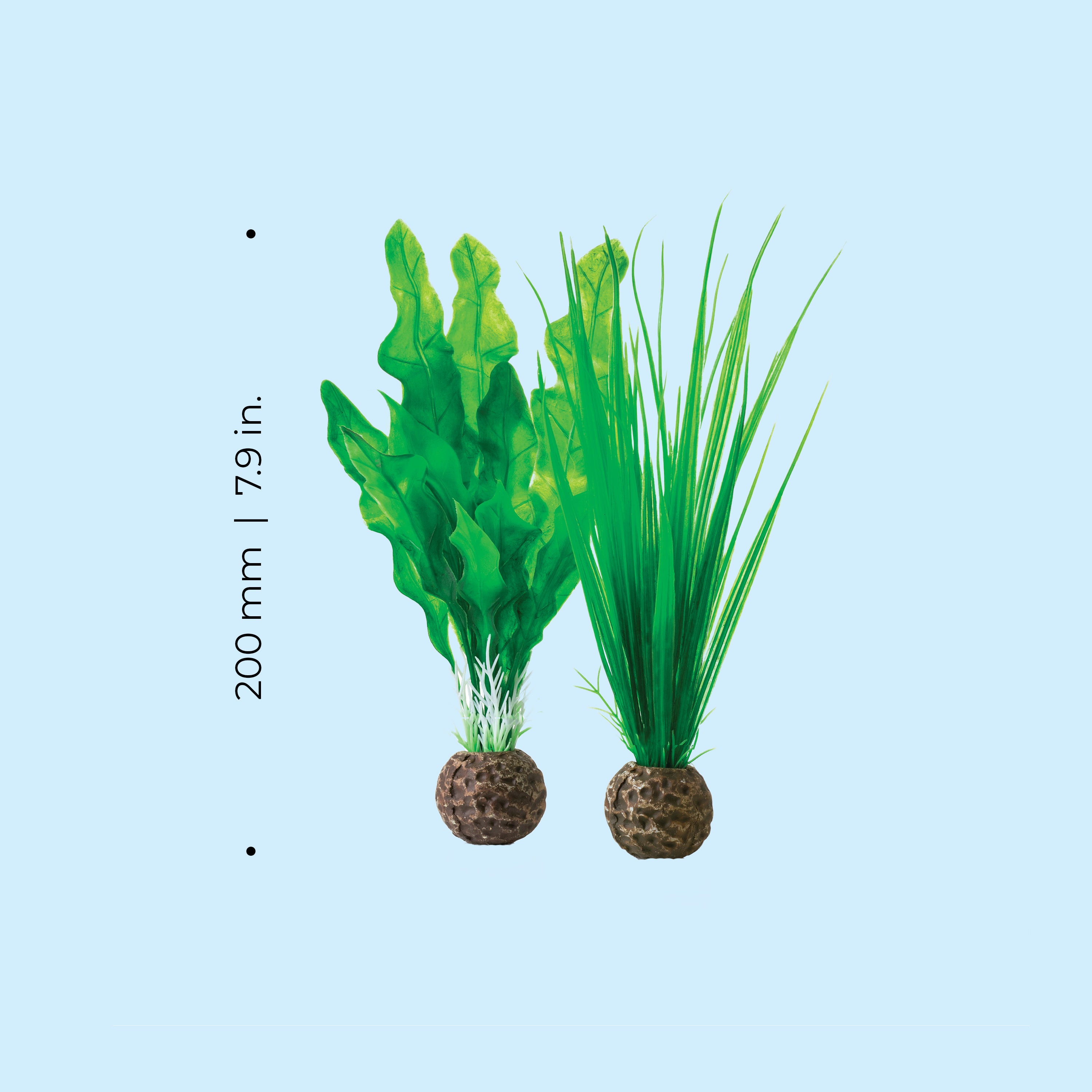Small Green Easy Plant Set of 2 - Dimensions