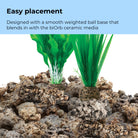 Small Green Easy Plant Set of 2 - Easy placement