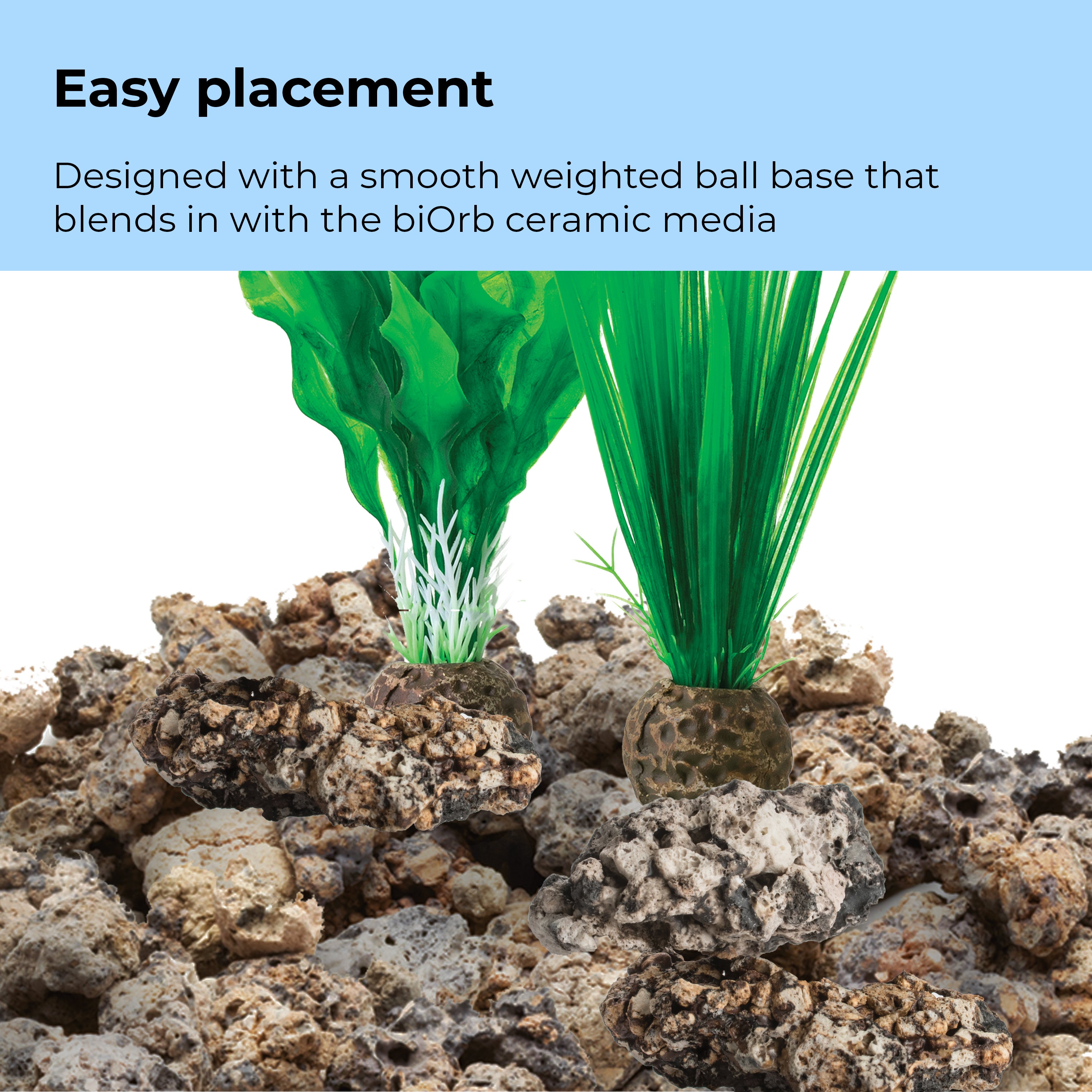 Small Green Easy Plant Set of 2 - Easy placement