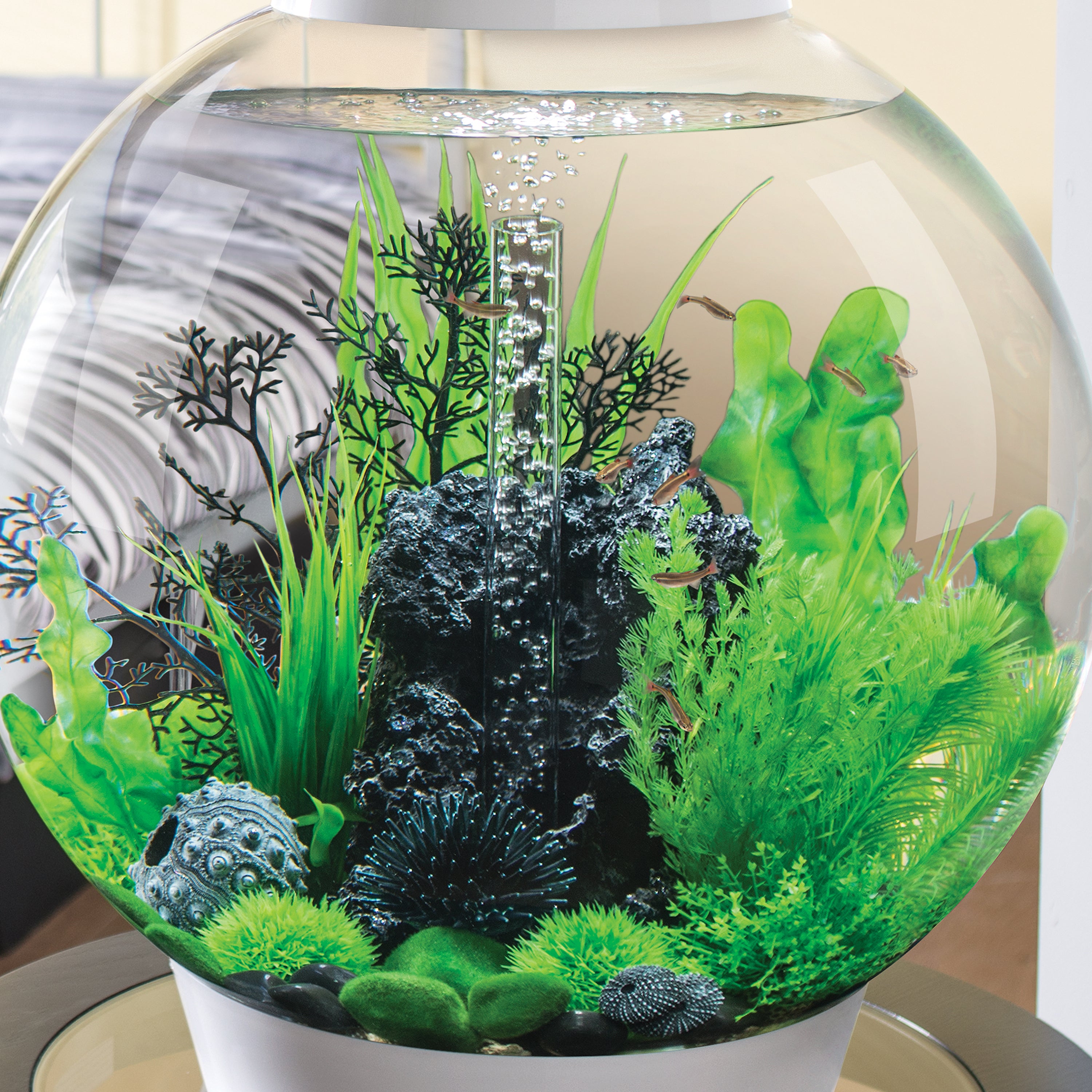 Small Green Easy Plant Set of 2 In Use