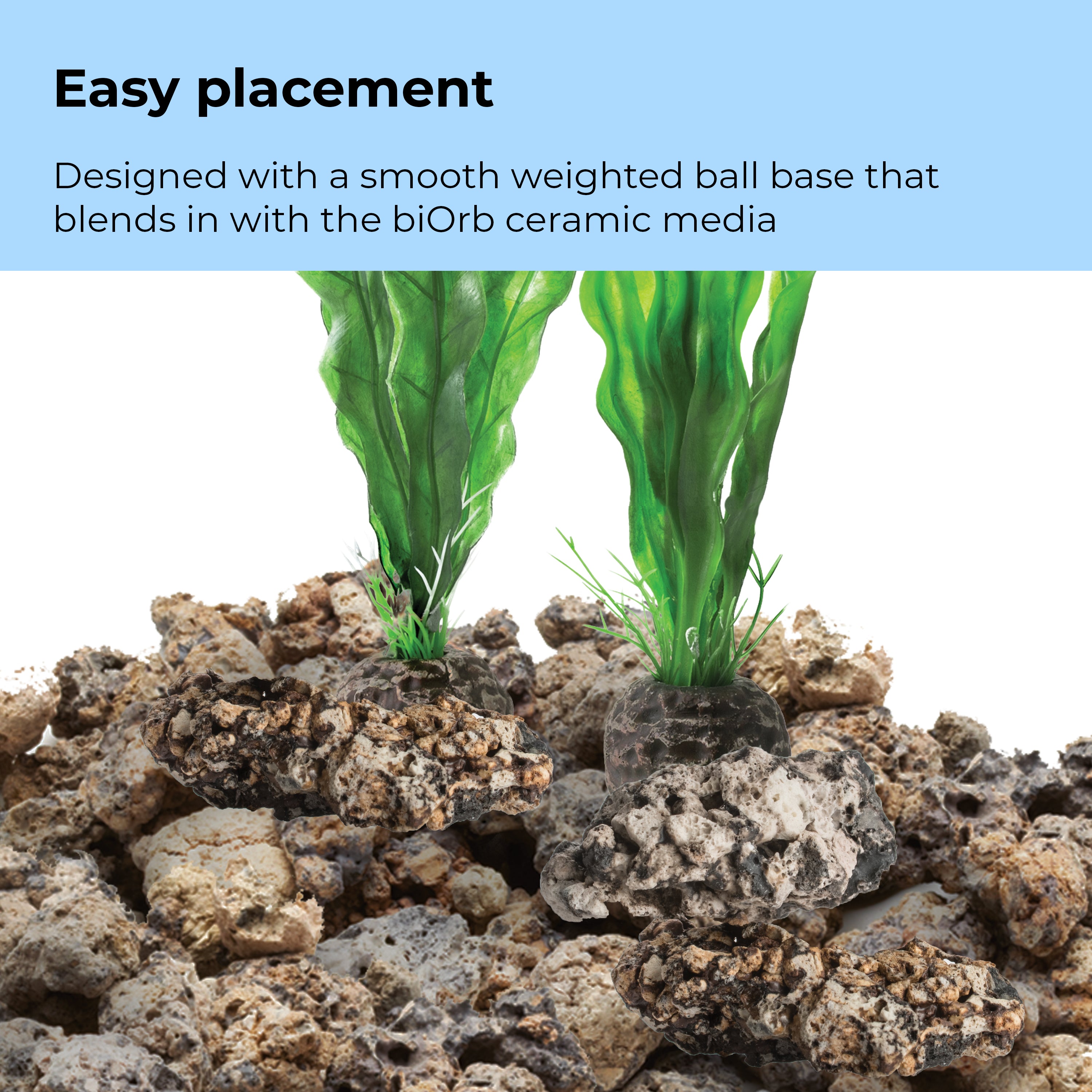 Medium Green Easy Plant Set of 2 - Easy placement