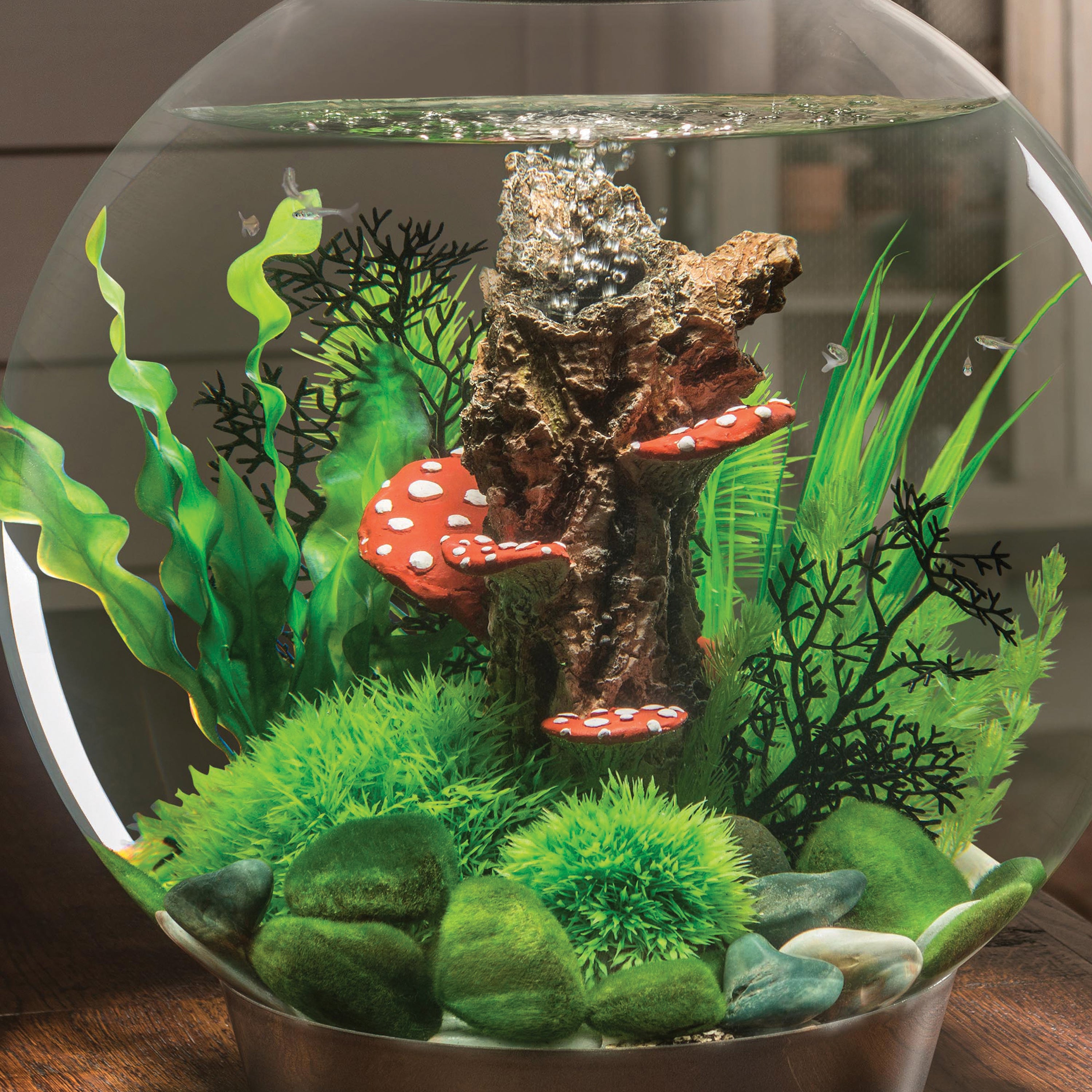 Medium Green Easy Plant Set of 2 In Use