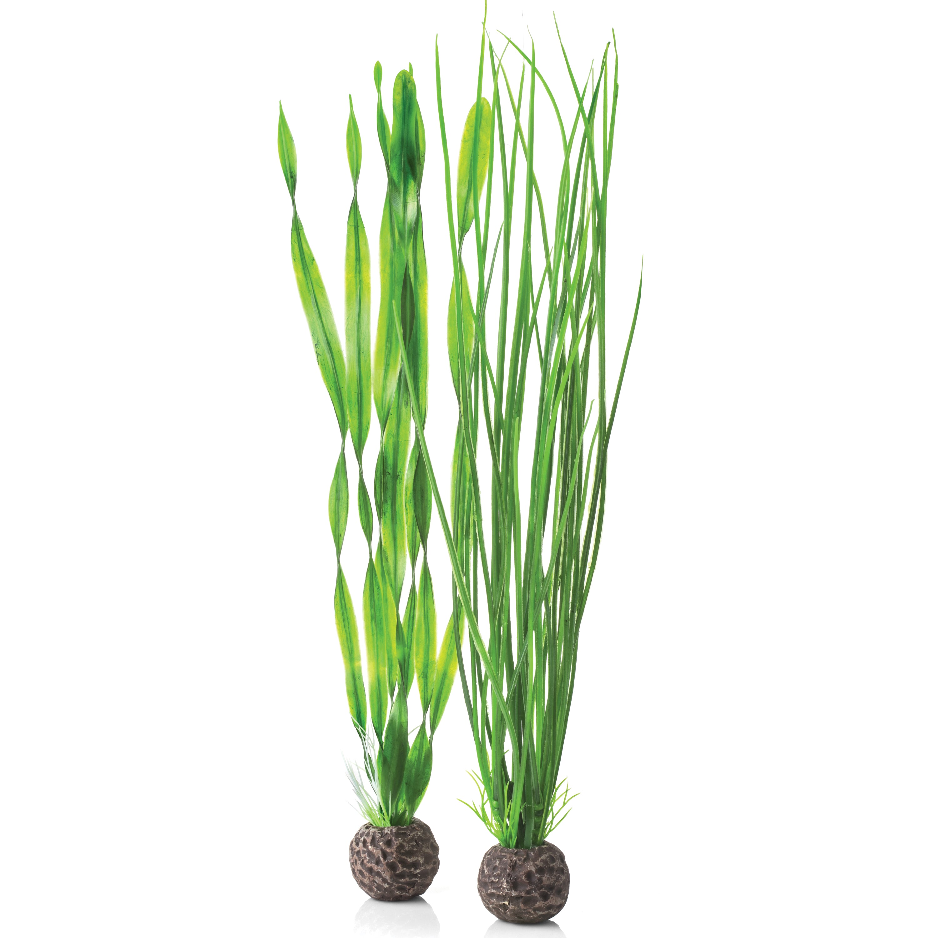 Large Green Easy Plant Set of 2