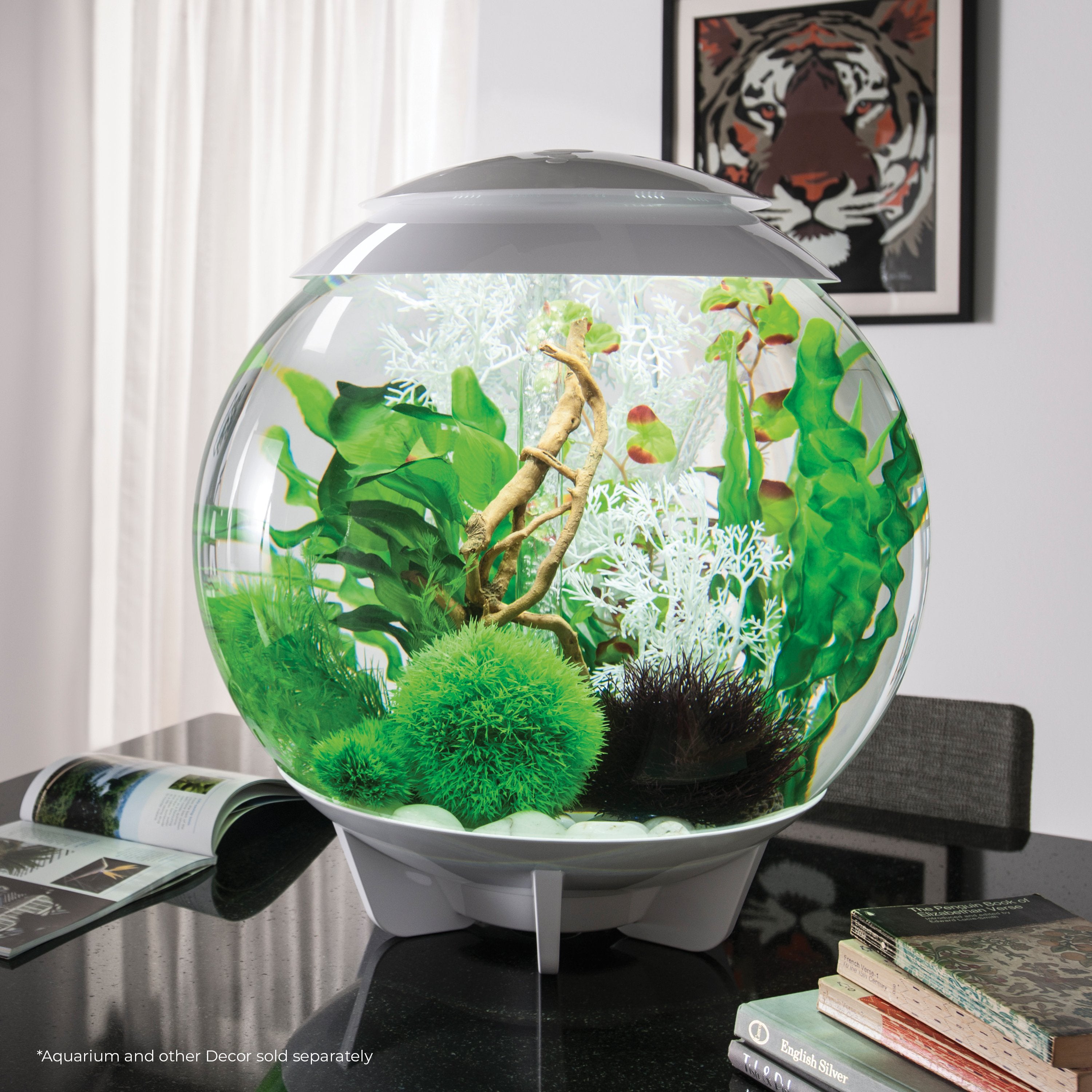 Large Green Easy Plant Set of 2 In Use