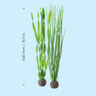 Large Green Easy Plant Set of 2 - Dimensions
