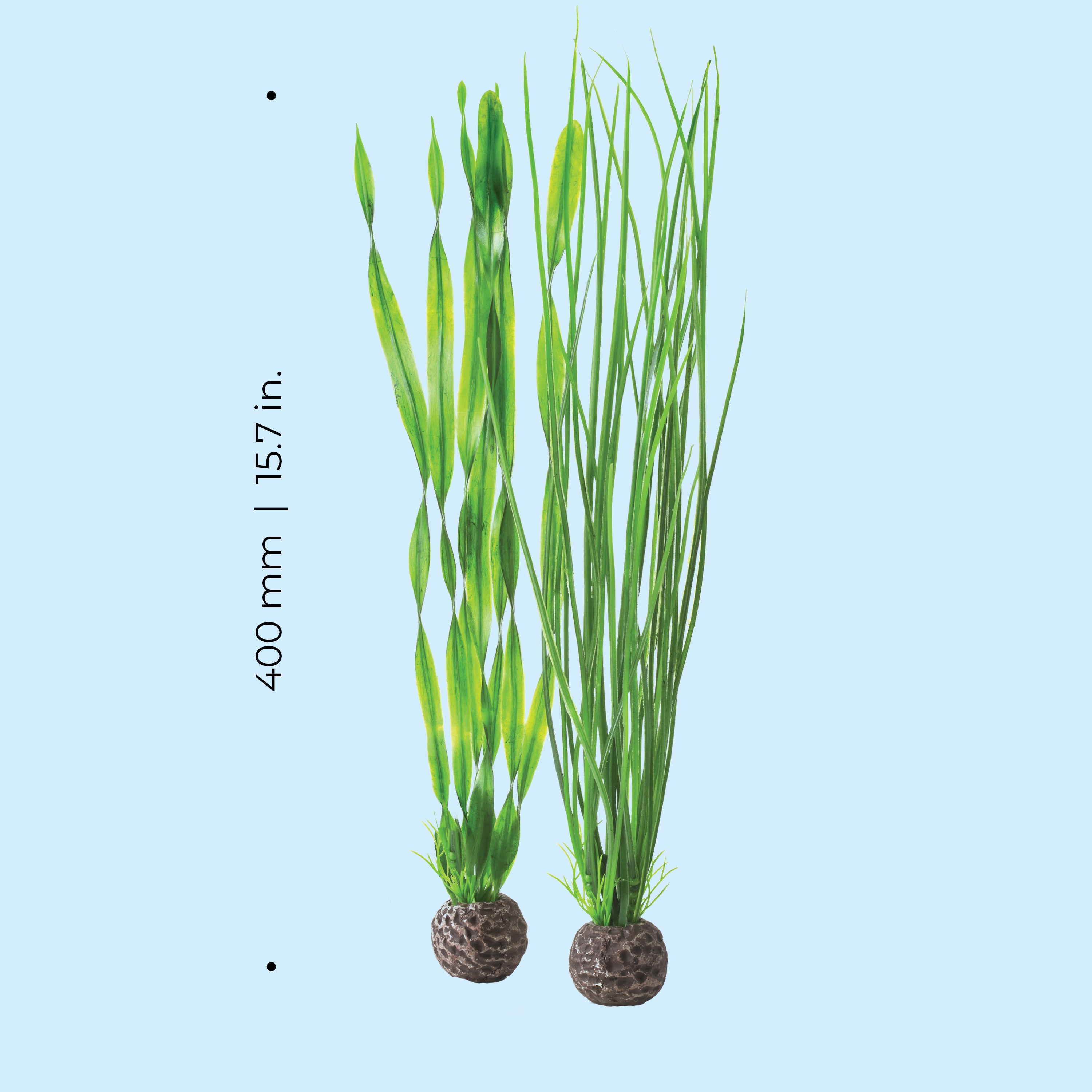 Large Green Easy Plant Set of 2 - Dimensions