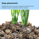 Large Green Easy Plant Set of 2 - Easy placement