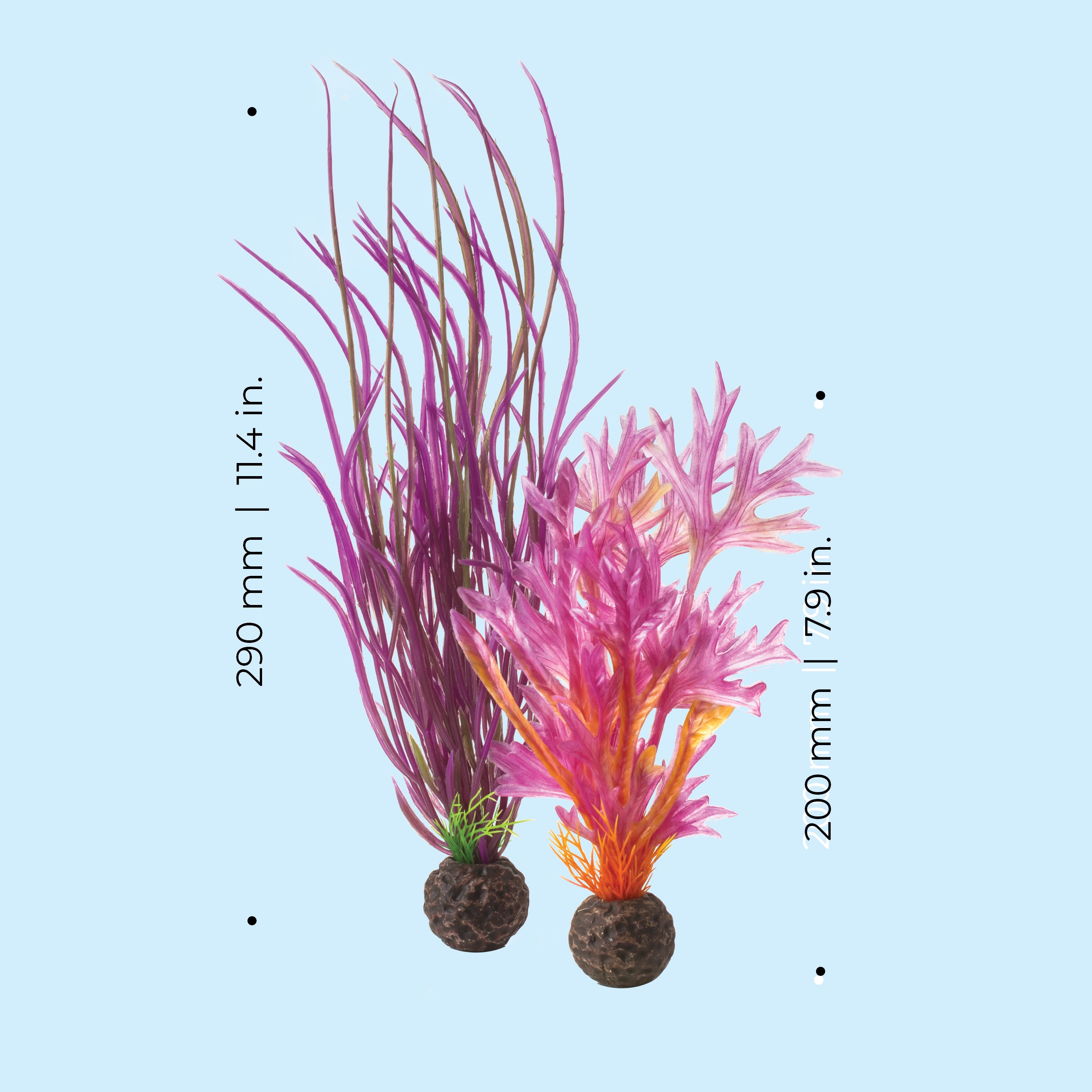 Medium Red & Pink Plant Set of 2 - Dimensions