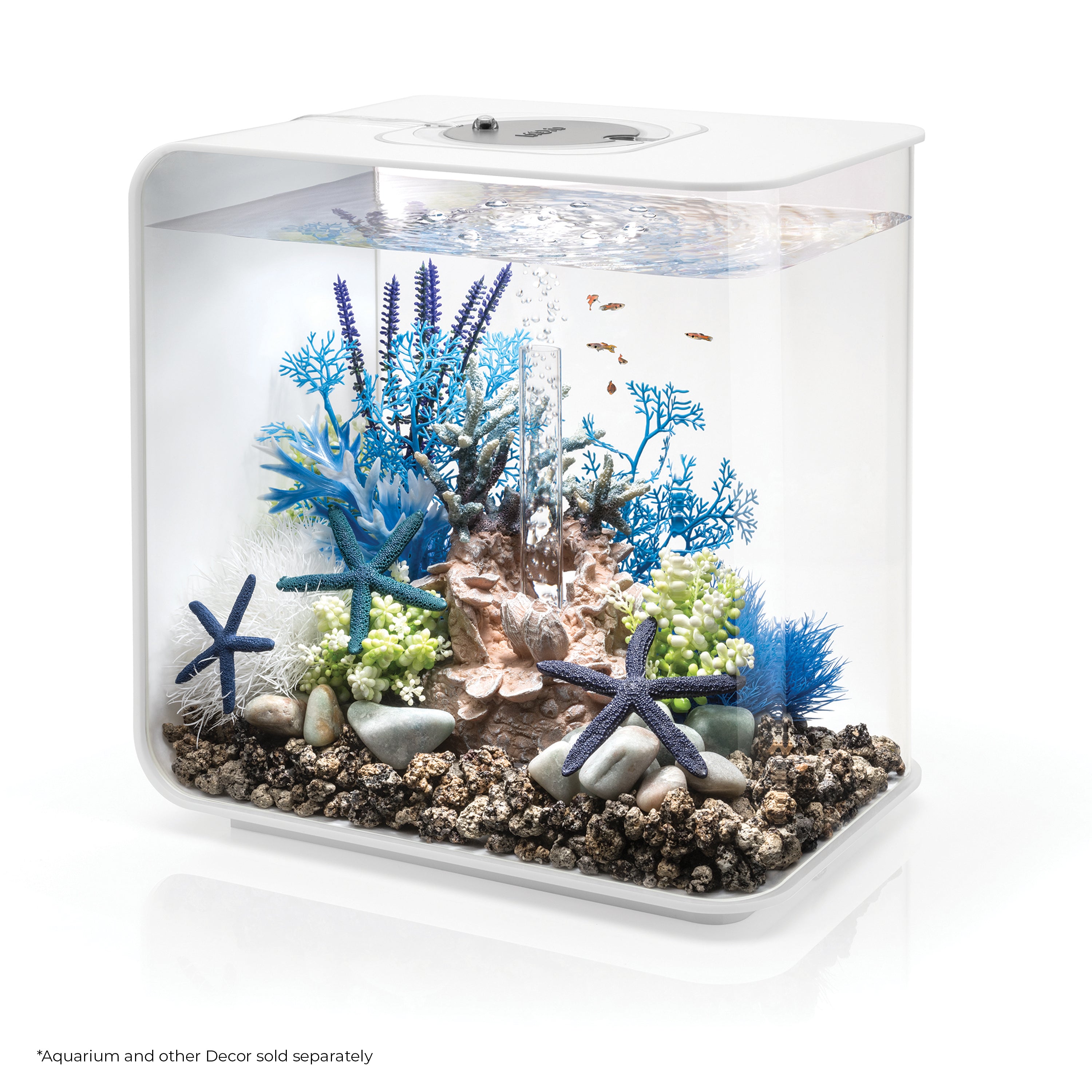 Medium Blue & Purple Plant Set of 2 In Use