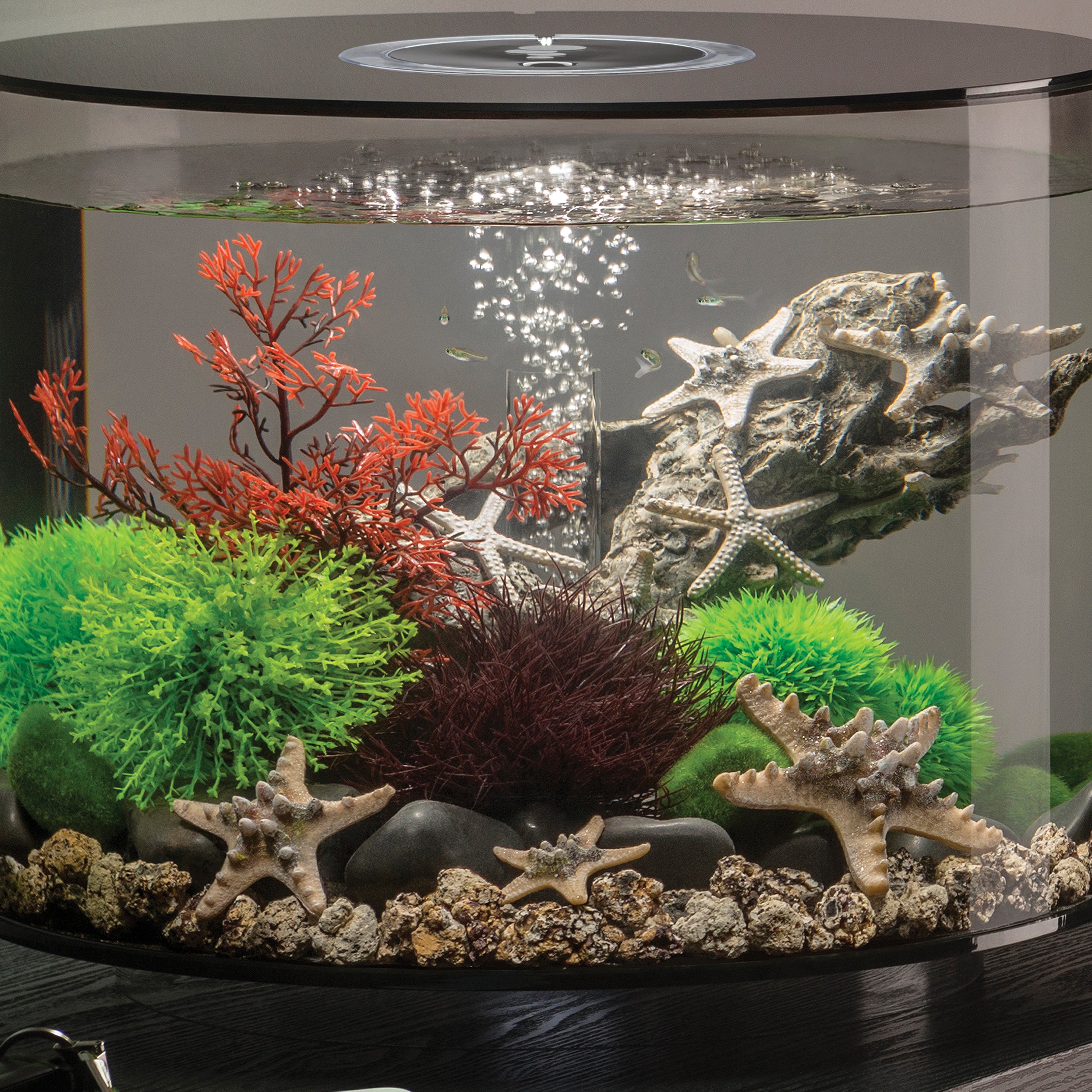 Aquatic Topiary Ball Set of 3 In use