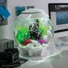 Aquatic Colour Ball Set of 3 In Use