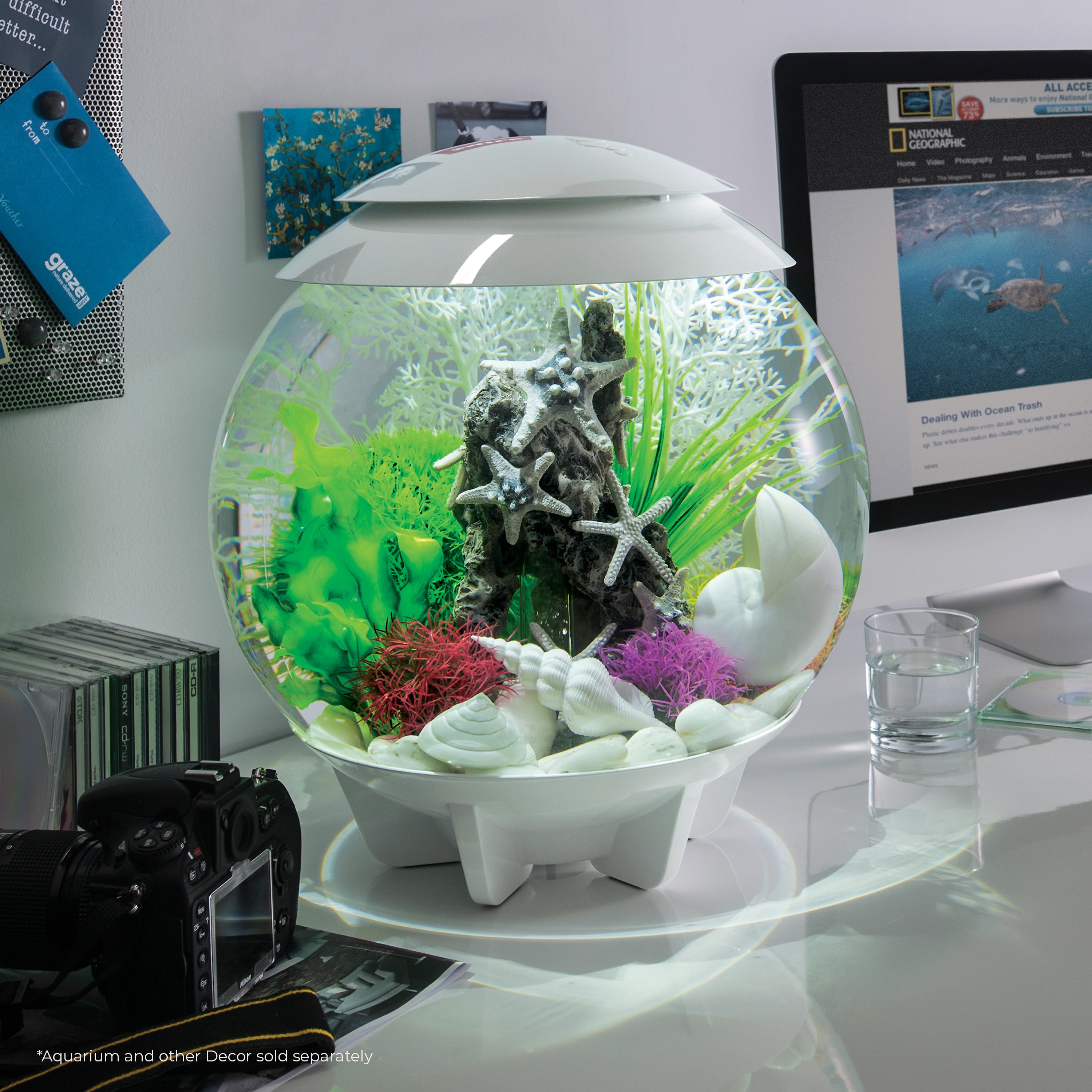 Aquatic Colour Ball Set of 3 In Use