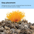 Aquatic Colour Ball Set of 3 - Easy placement