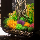 Aquatic Colour Ball Set of 3 In Use