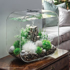 Winter Flower Plant Set of 2 In Use