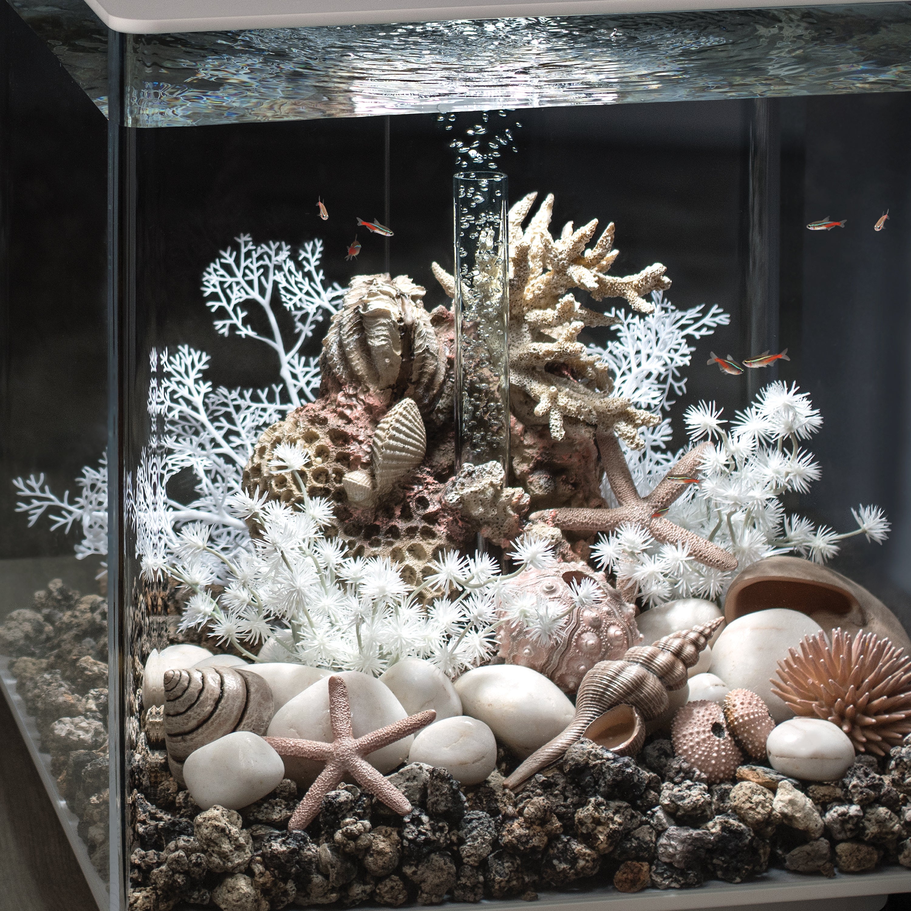Small Sea Fan - In use