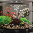 Small Sea Fan In use