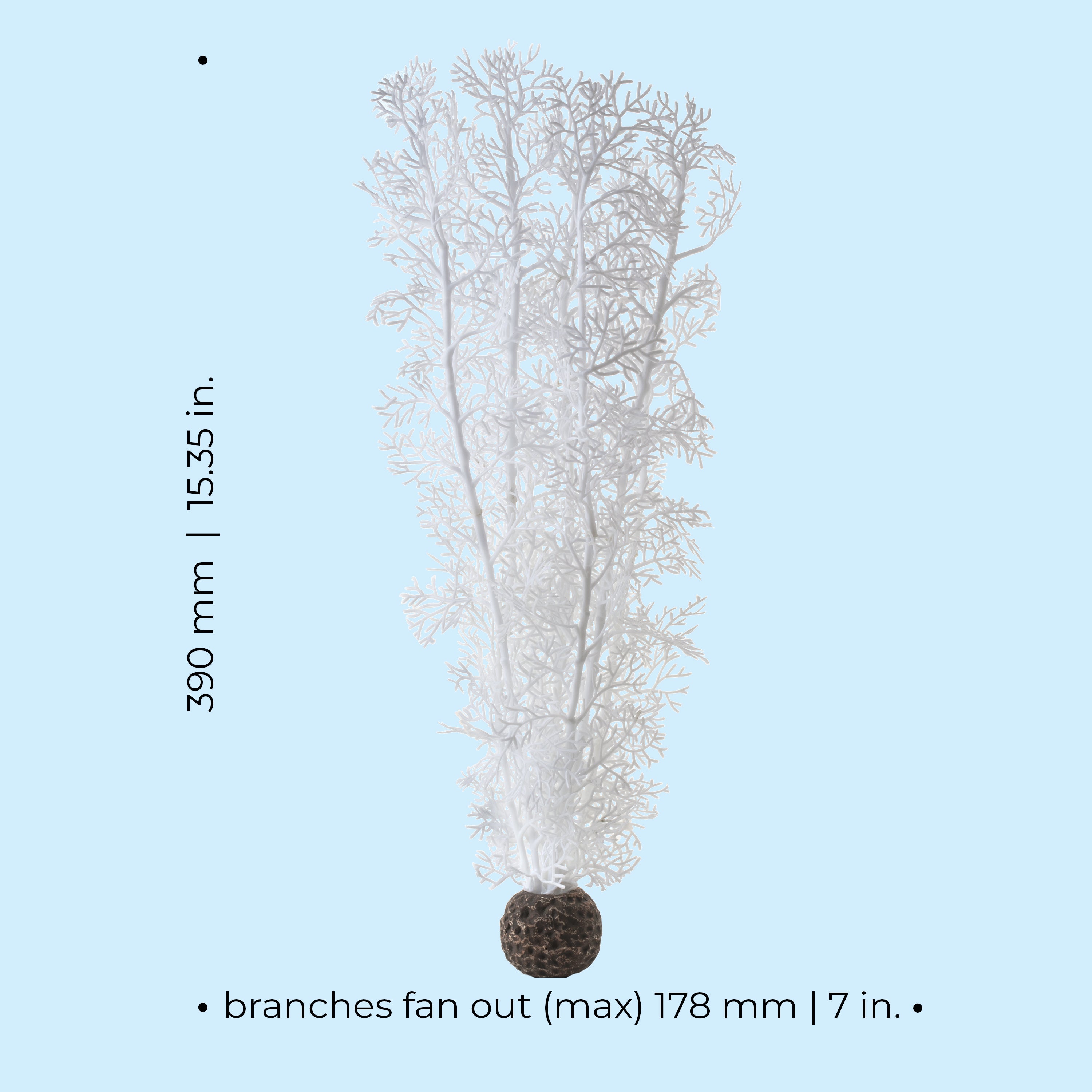 Large Sea Fan - Dimensions