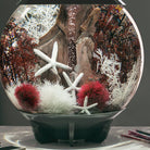 Large Sea Fan In Use