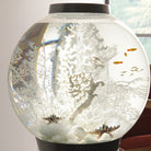 Large Sea Fan In Use