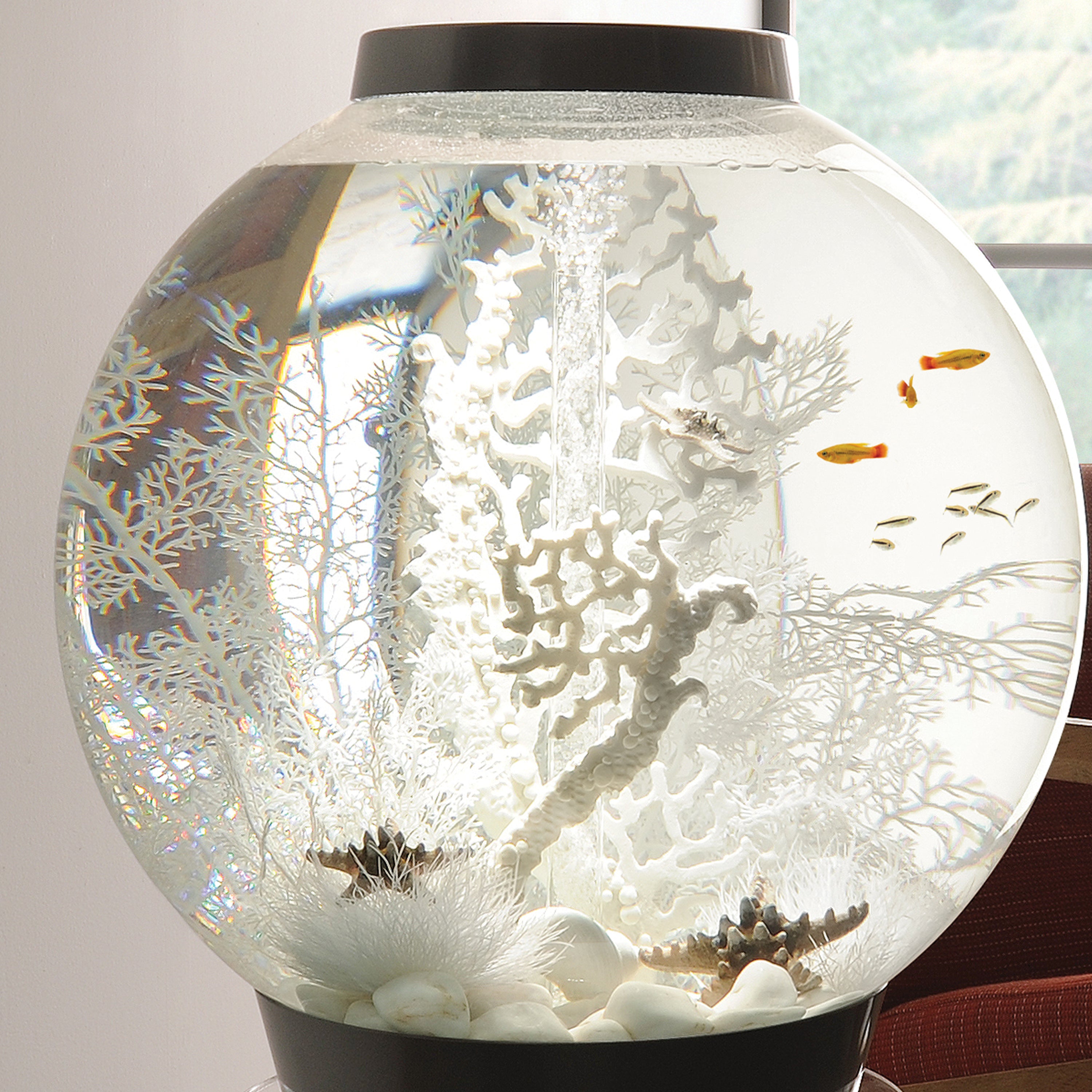 Large Sea Fan In Use